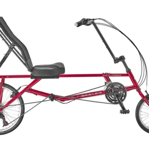 recumbent bicycle for sale